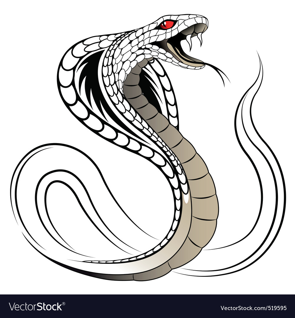 Detail Cobra Snake Vector Nomer 2