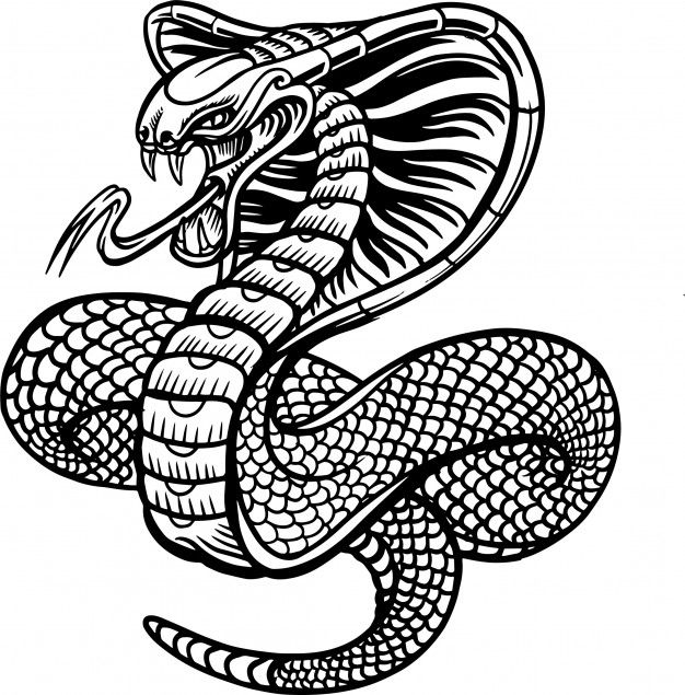 Detail Cobra Snake Vector Nomer 13