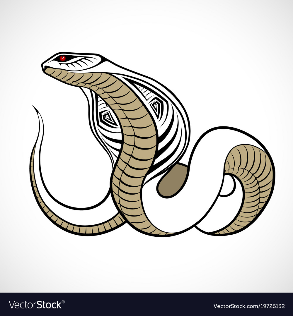 Detail Cobra Snake Vector Nomer 19
