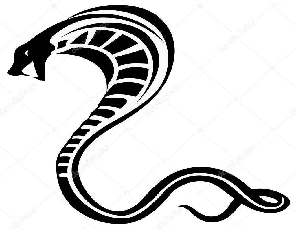 Detail Cobra Snake Vector Nomer 25