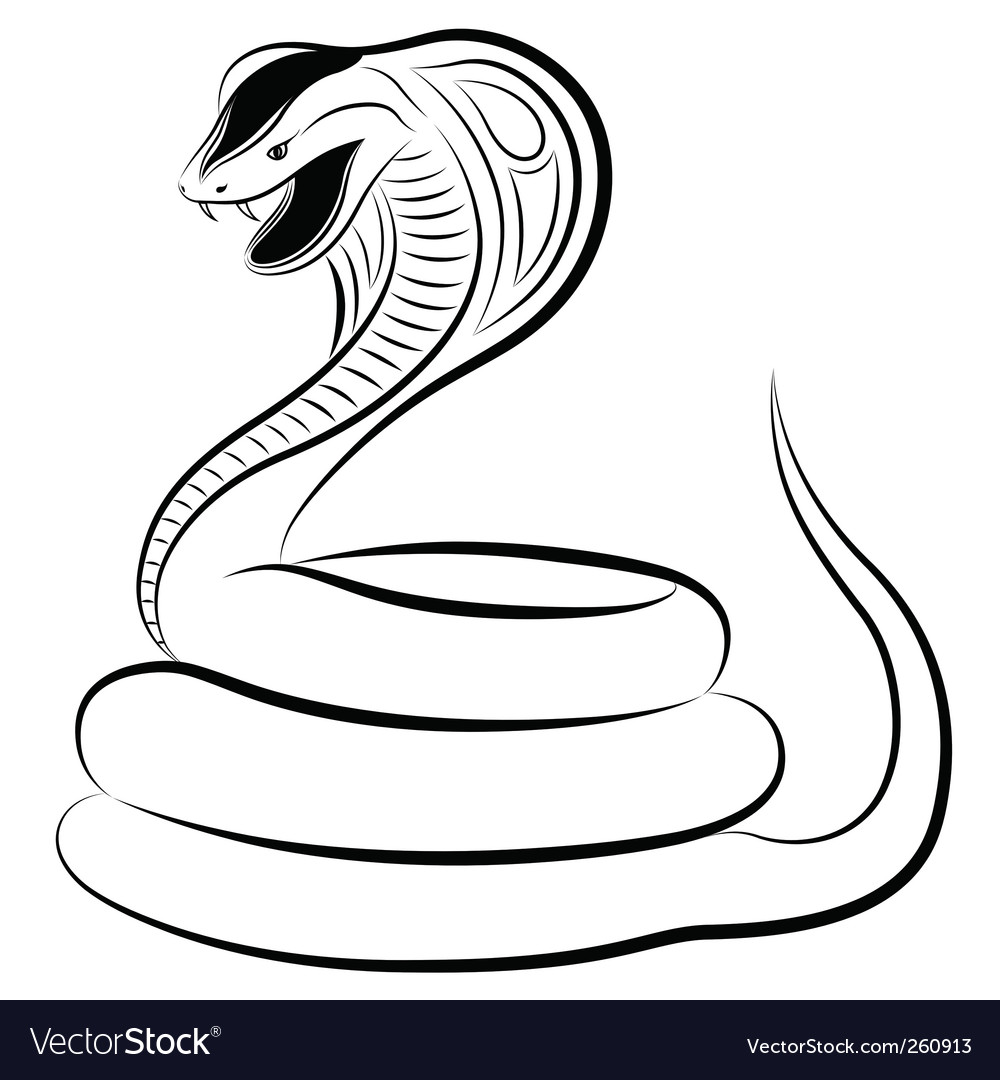 Detail Cobra Snake Vector Nomer 4