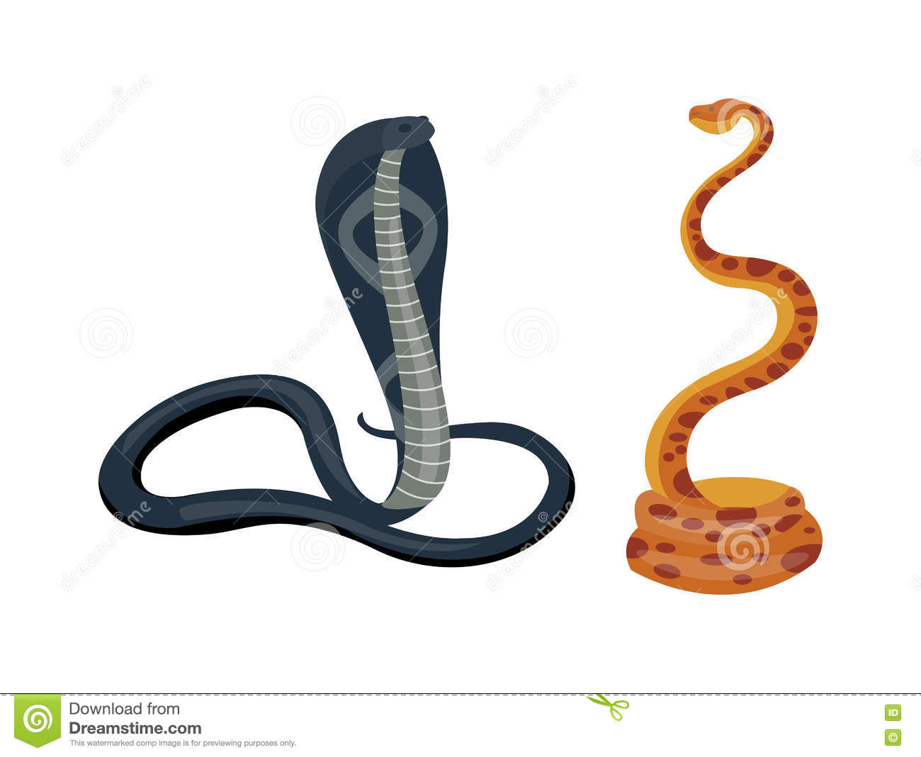 Detail Cobra Snake Vector Nomer 48
