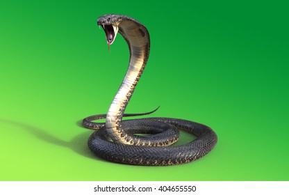 Detail Cobra Snakes Picture Nomer 55