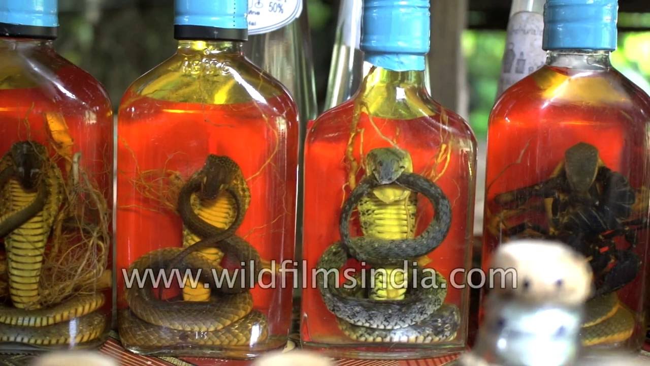 Detail Cobra Tequila Bottle Nomer 23