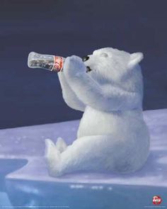 Detail Coca Cola Bear Pics Nomer 54