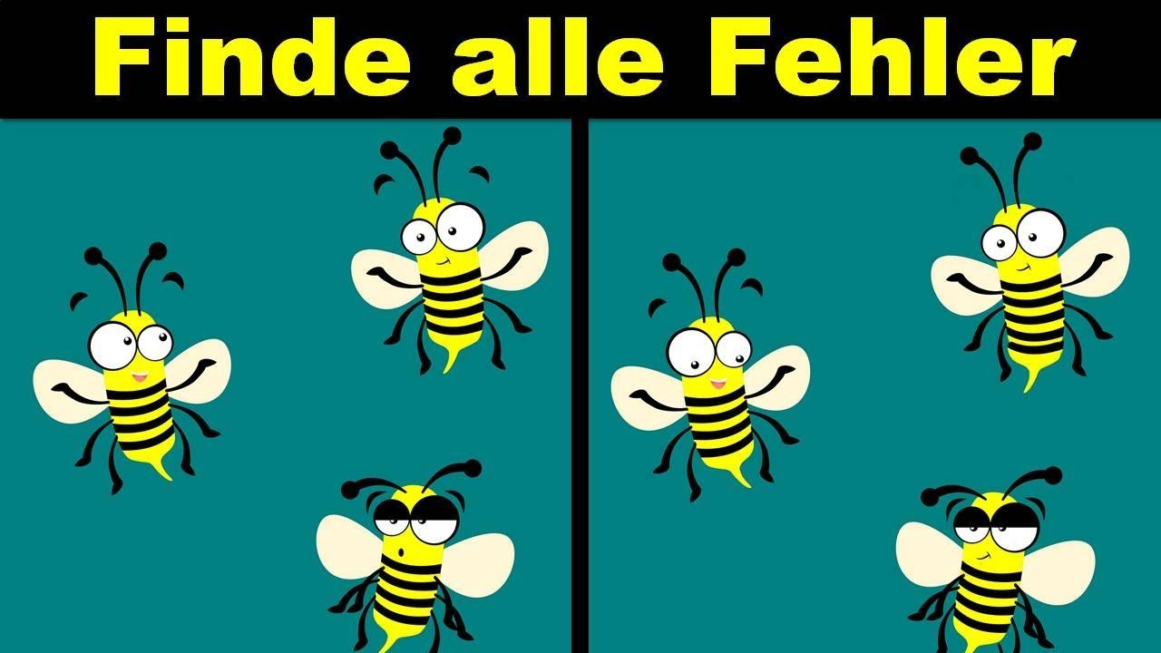 Detail Fehler Bilder Nomer 5