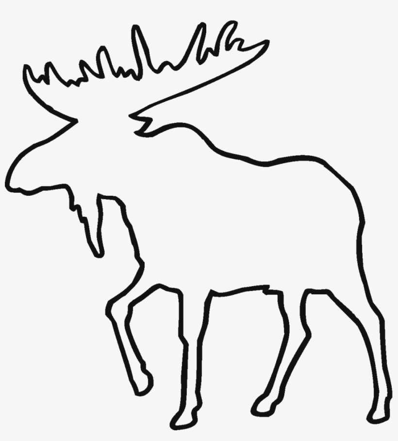 Detail Moos Drawing Nomer 9