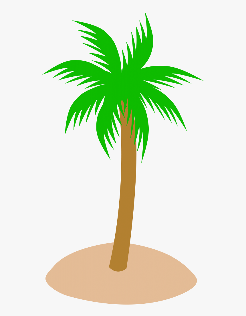 Detail Palm Tree Plan Png Nomer 9