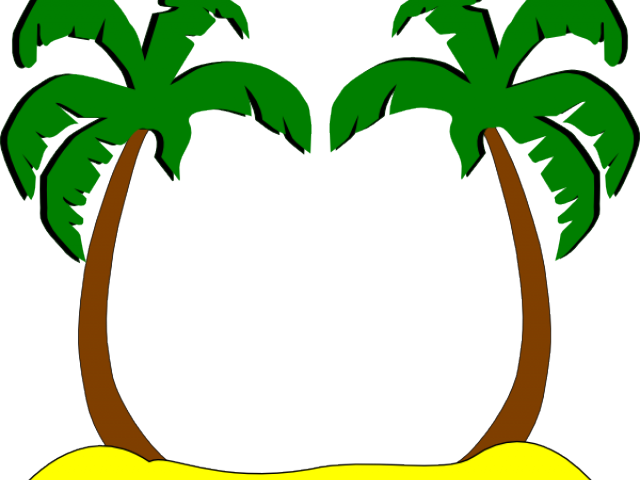 Detail Palm Tree Plan Png Nomer 12