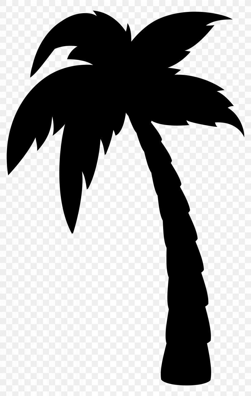 Detail Palm Tree Plan Png Nomer 14