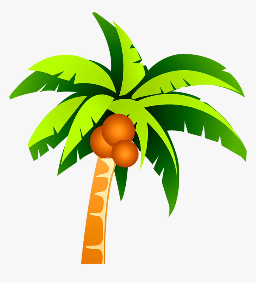 Detail Palm Tree Plan Png Nomer 19