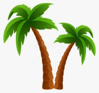 Detail Palm Tree Plan Png Nomer 6