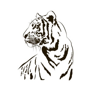 Detail Tiger Augen Tattoo Nomer 9