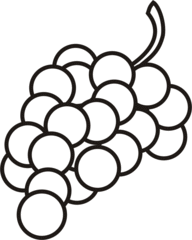 Detail Traube Spanisch Nomer 21