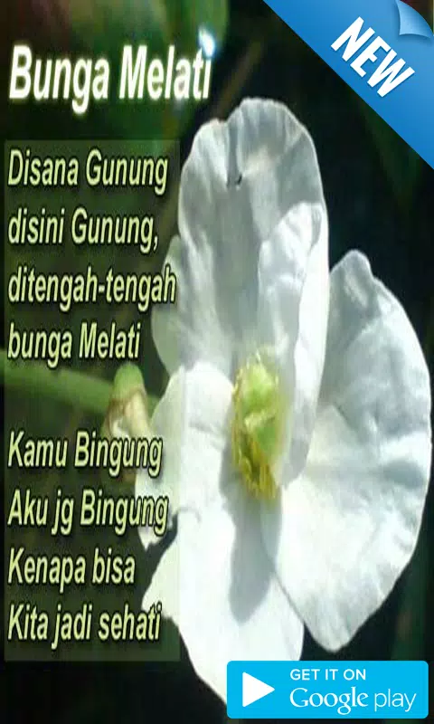 Detail Gambar Bunga Kata2 Cinta Nomer 24