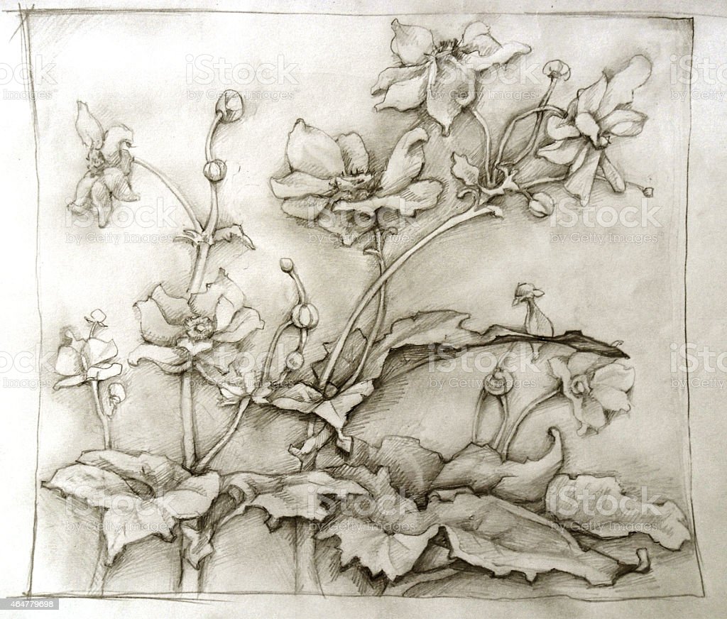 Detail Gambar Bunga Kecil Hitam Putih Nomer 32