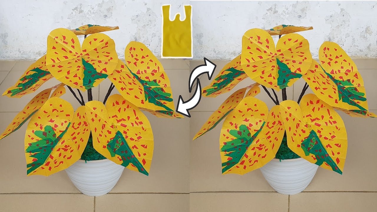 Detail Gambar Bunga Keladi Kuning Nomer 4