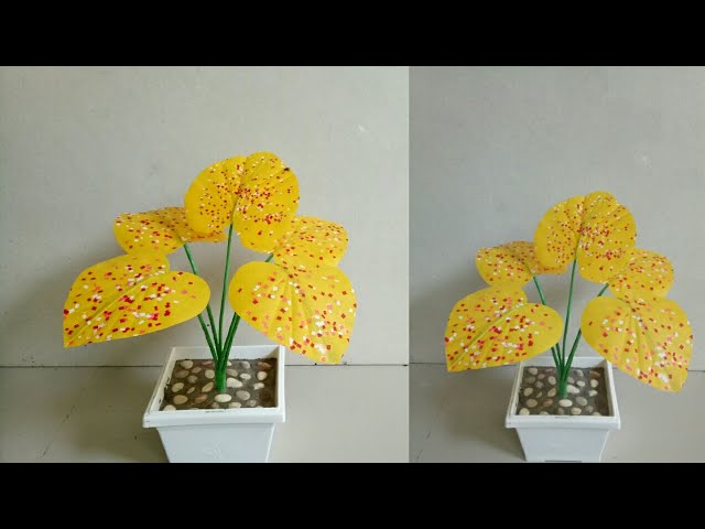 Detail Gambar Bunga Keladi Kuning Nomer 9