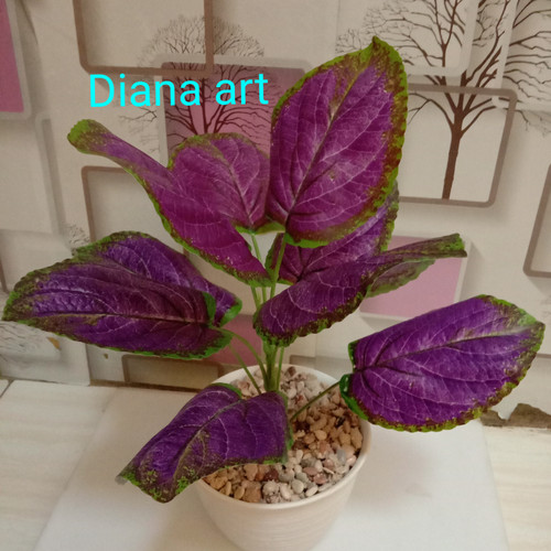 Gambar Bunga Keladi Warna Ungu - KibrisPDR