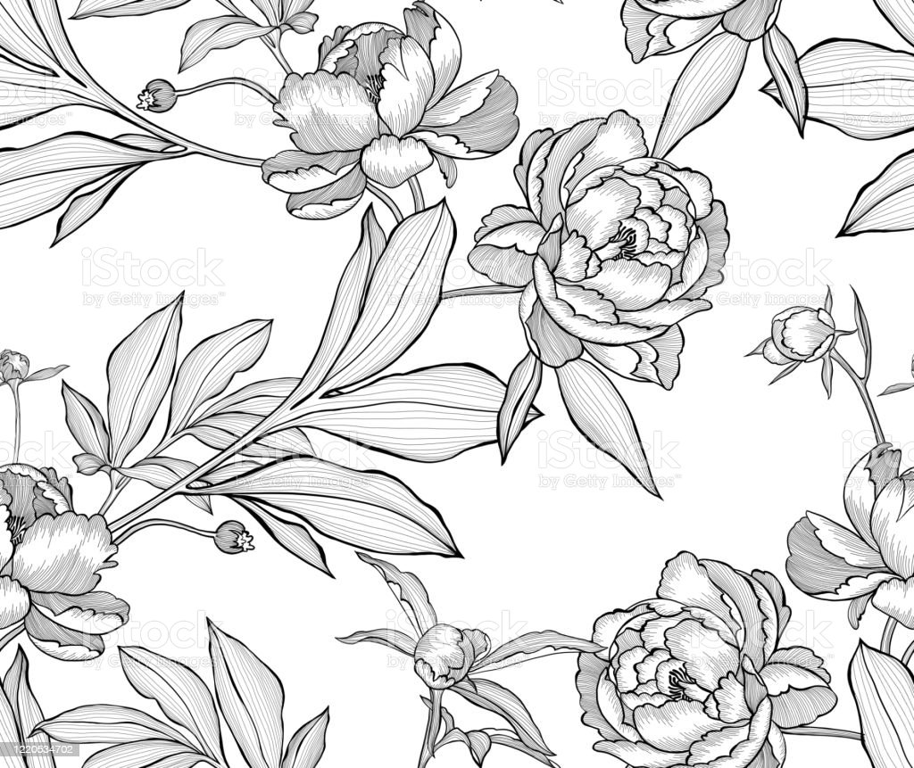 Detail Gambar Bunga Kerangka Nomer 35
