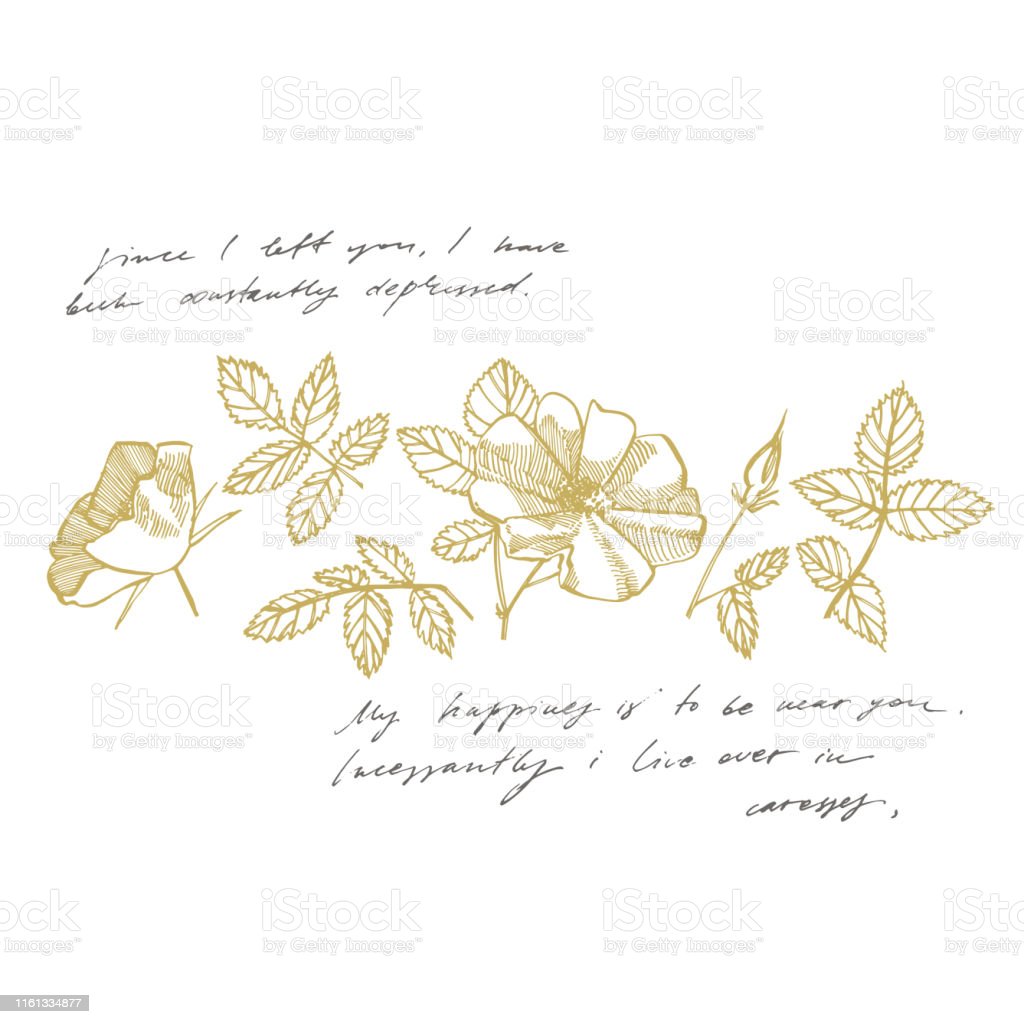 Detail Gambar Bunga Keren Tulisan Tangan Nomer 30