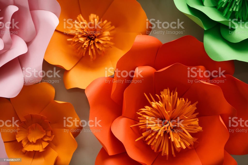 Detail Gambar Bunga Kertas Berwarna Warni Nomer 42