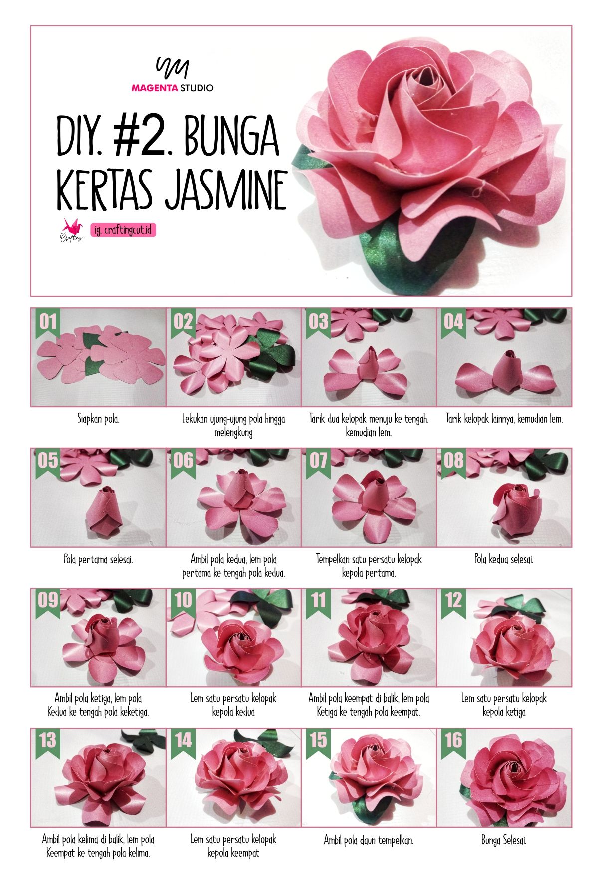 Detail Gambar Bunga Kertas Jasmine Nomer 5