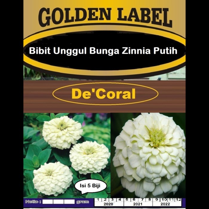 Detail Gambar Bunga Kertas Putih Nomer 52