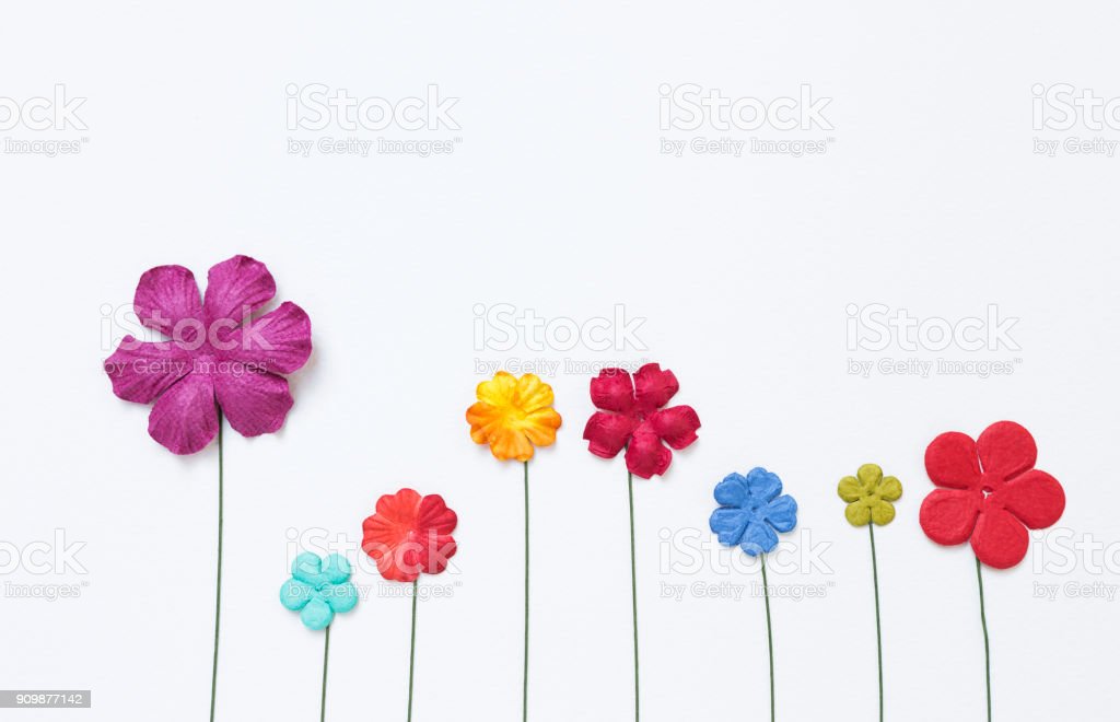 Detail Gambar Bunga Kertas Yang Indah Nomer 40