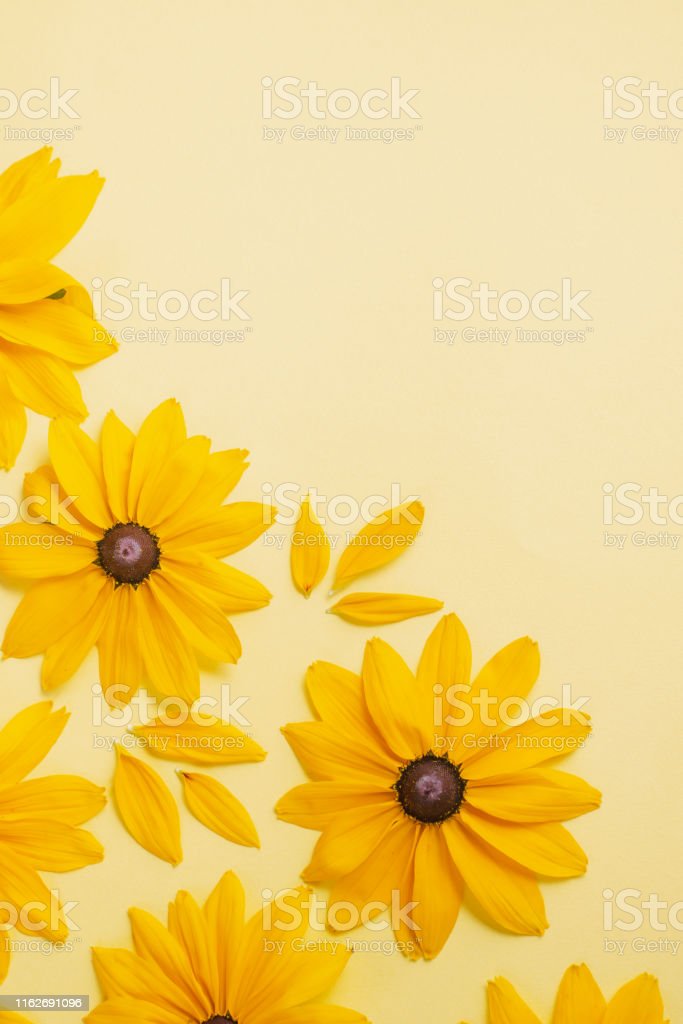 Detail Gambar Bunga Kuning Nomer 48