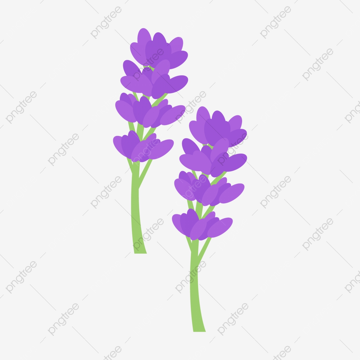 Detail Gambar Bunga Lavender Dan Lily Kartun Nomer 2