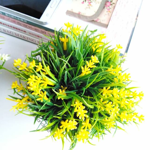 Gambar Bunga Lavender Kuning - KibrisPDR