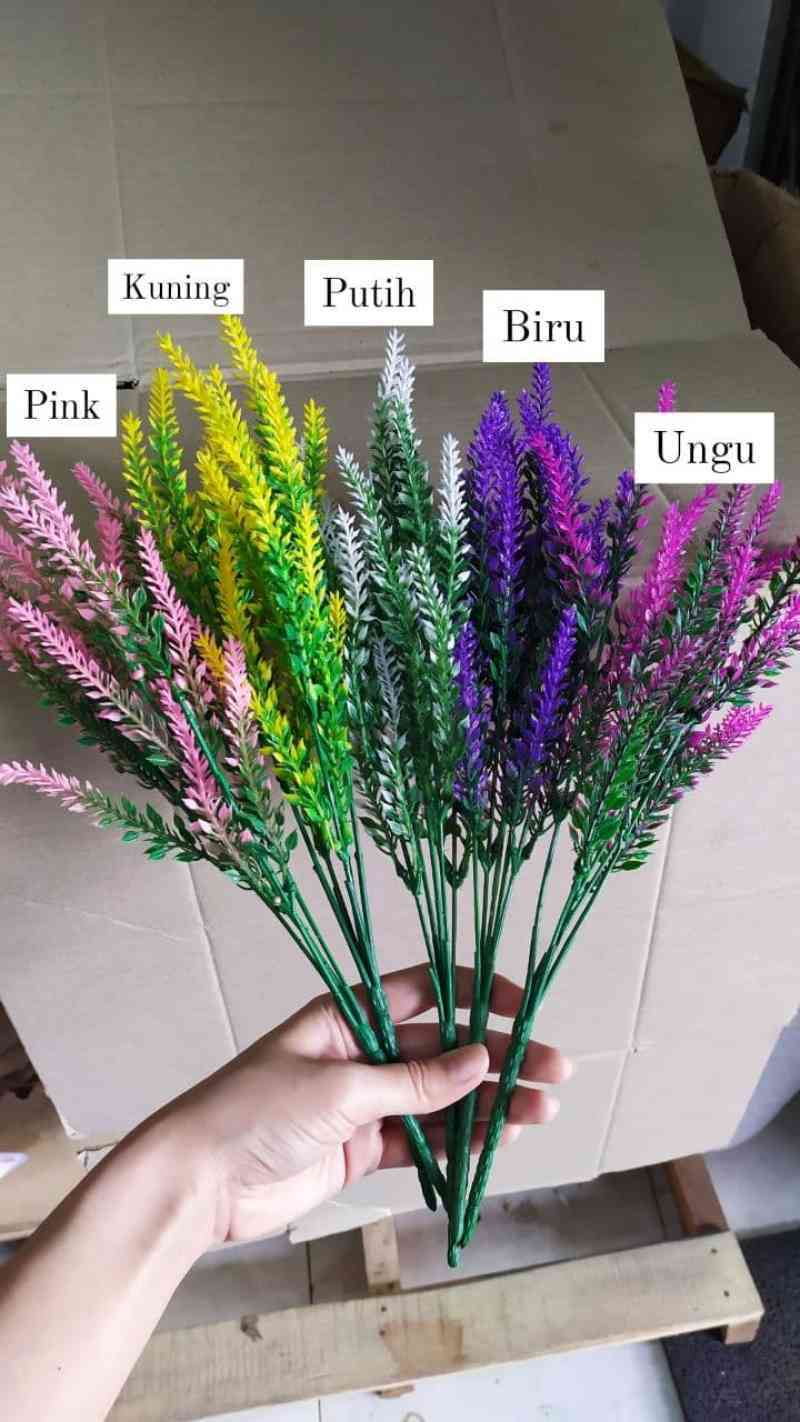 Detail Gambar Bunga Lavender Kuning Nomer 20