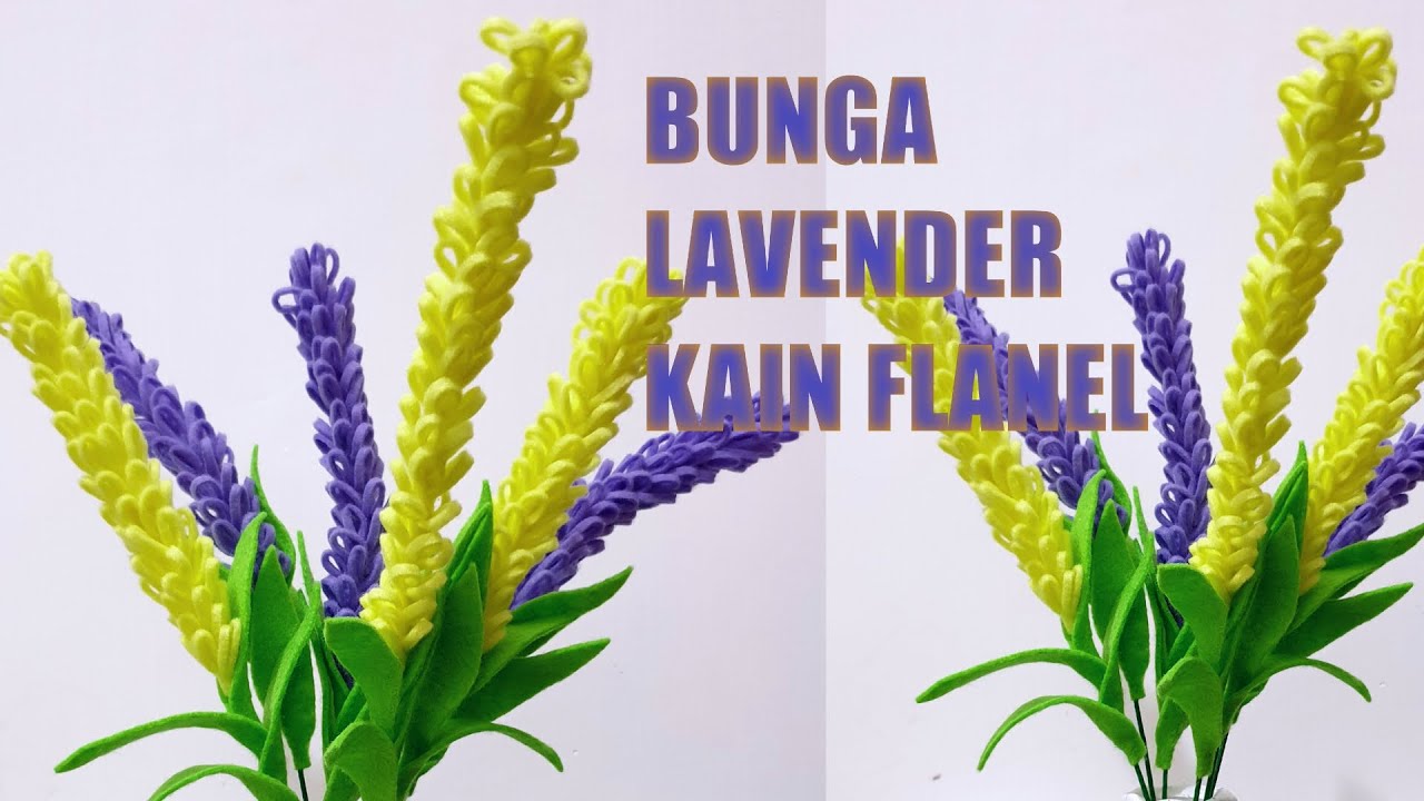 Detail Gambar Bunga Lavender Kuning Nomer 24