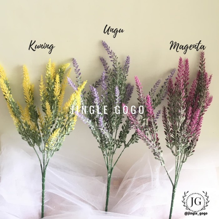 Detail Gambar Bunga Lavender Kuning Nomer 8