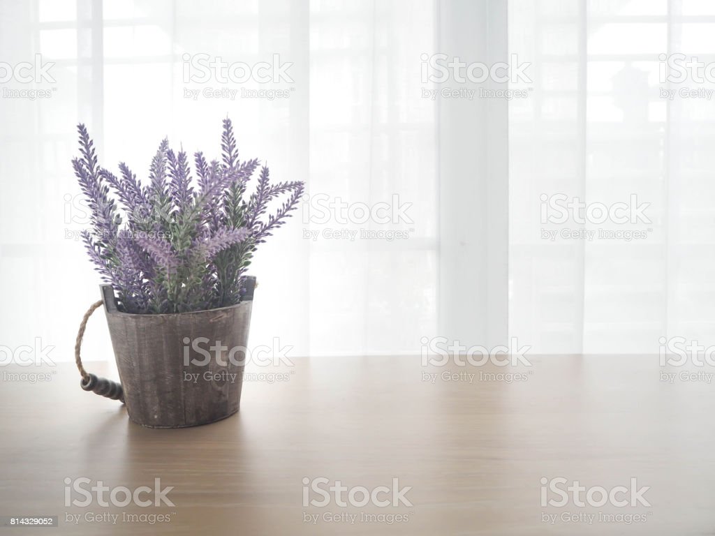 Detail Gambar Bunga Lavender Ungu Nomer 37