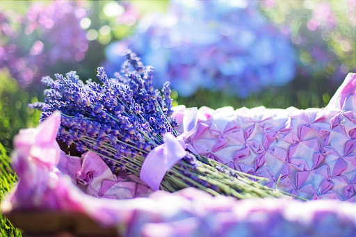 Detail Gambar Bunga Lavender Yang Cantik Nomer 53