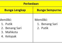 Detail Gambar Bunga Lengkap Dan Tak Lengkap Nomer 48