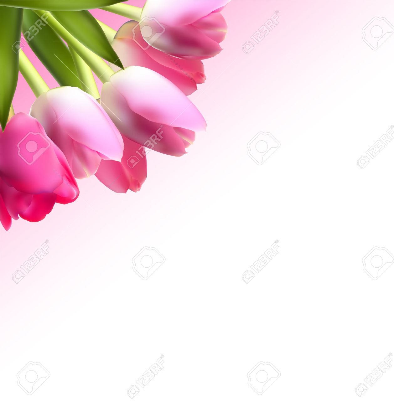 Detail Gambar Bunga Lili Bergerak Nomer 2