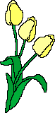 Detail Gambar Bunga Lili Bergerak Nomer 20