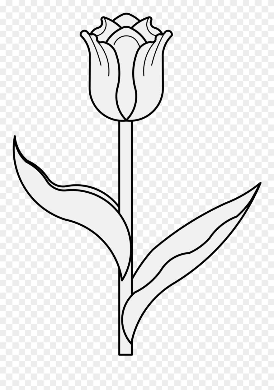 Detail Gambar Bunga Lili Hitam Putih Nomer 11