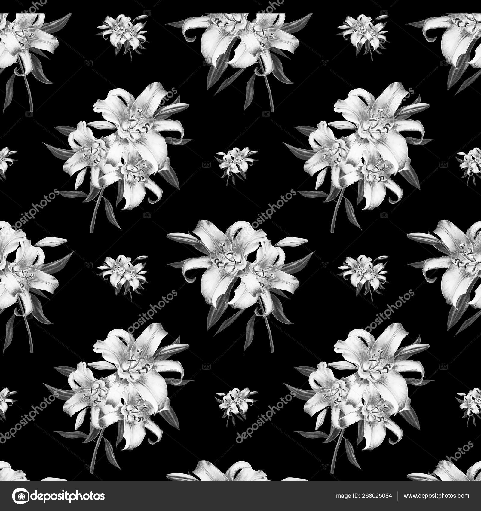 Detail Gambar Bunga Lili Hitam Putih Nomer 26