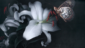 Detail Gambar Bunga Lili Hitam Putih Nomer 52