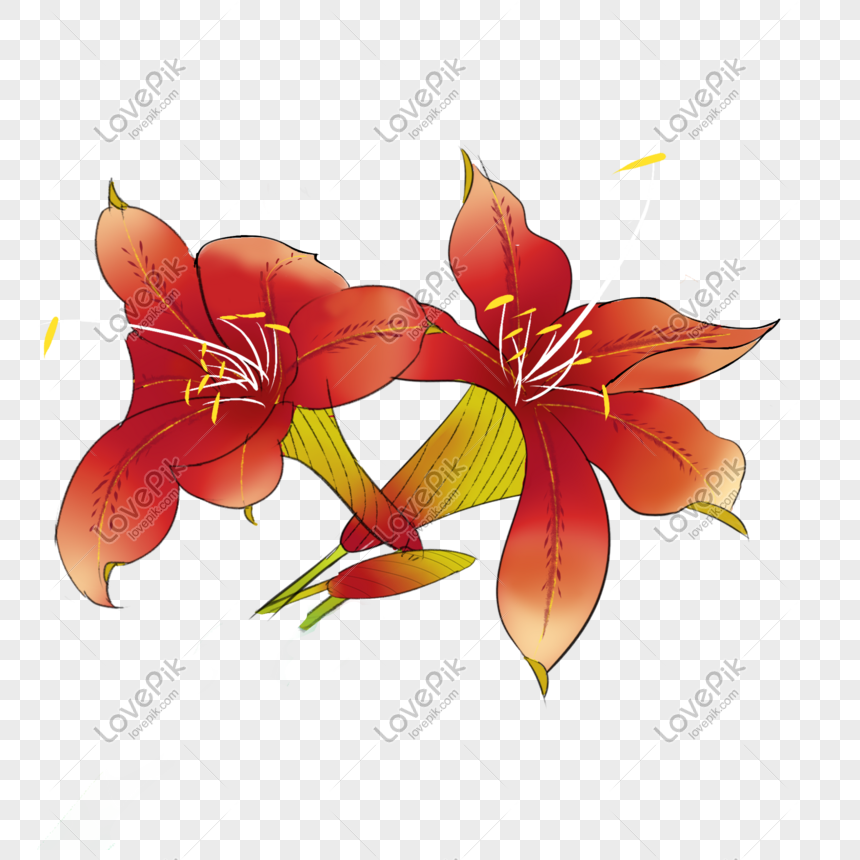 Detail Gambar Bunga Lili Kartun Nomer 5