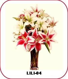 Detail Gambar Bunga Lili Terbagus Nomer 6