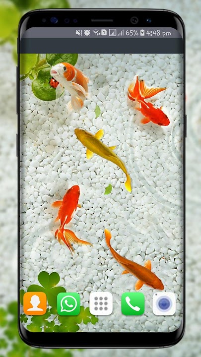 Download 3d Fish Wallpaper For Mobile Nomer 17