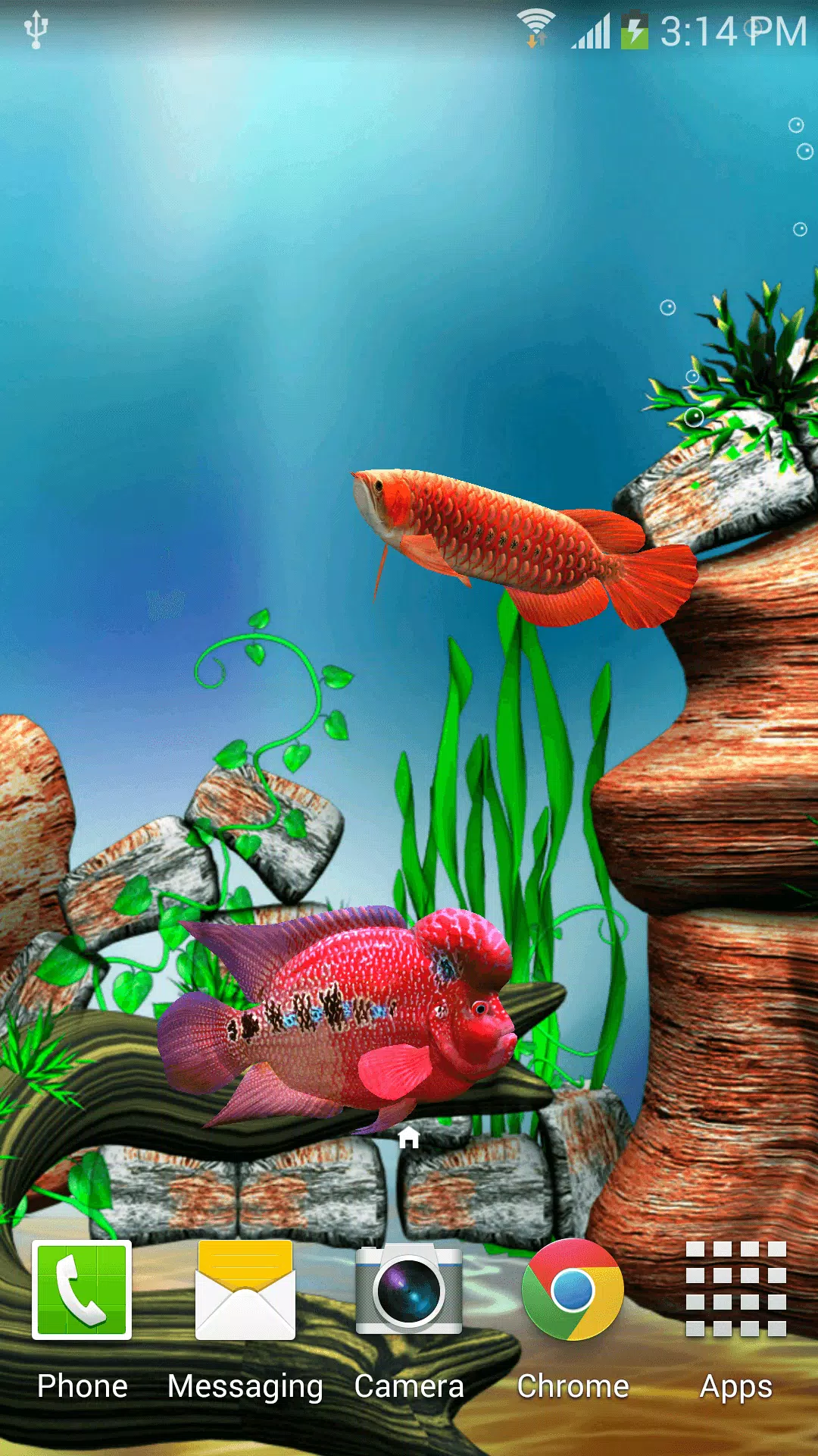 Detail 3d Fish Wallpaper For Mobile Nomer 18