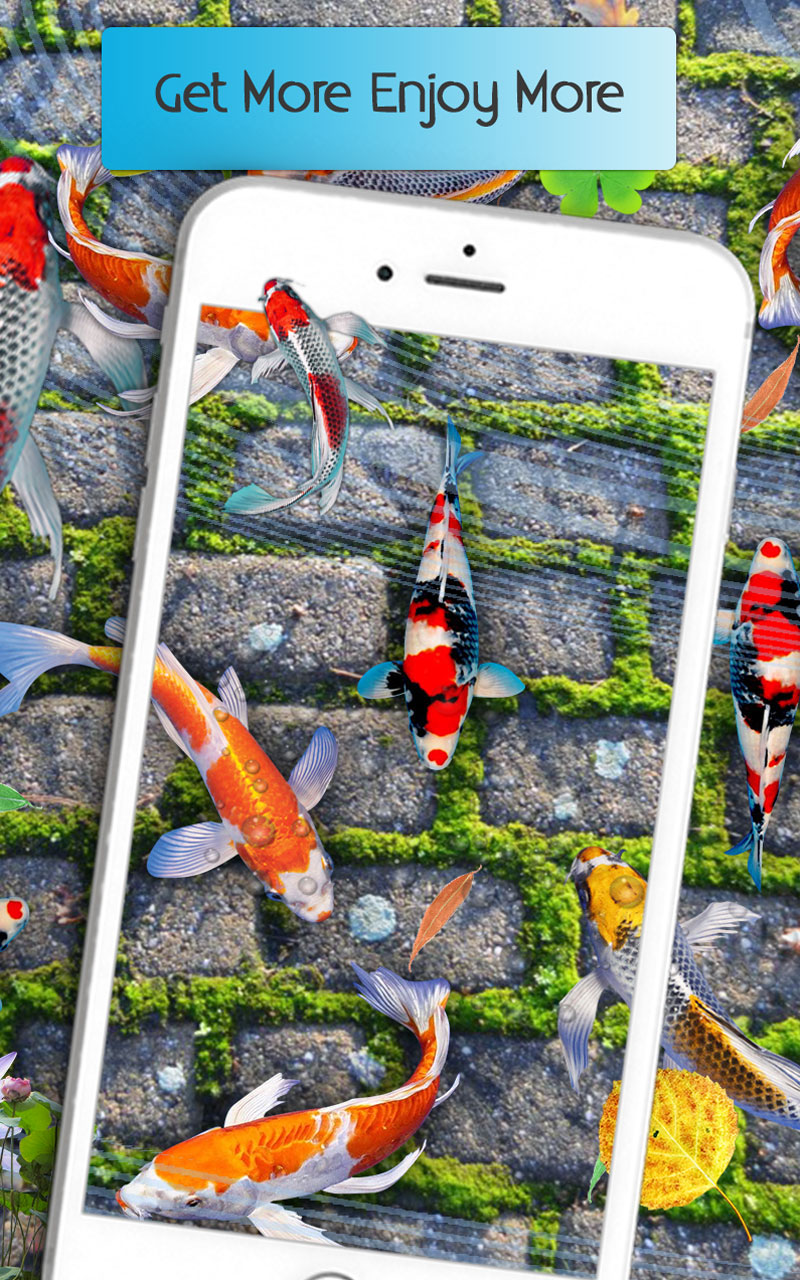 Download 3d Fish Wallpaper For Mobile Nomer 40