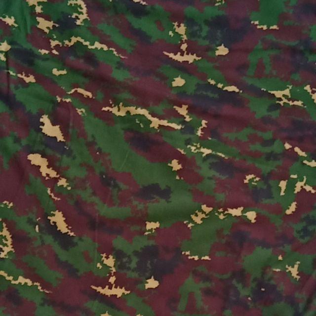 Detail Background Loreng Nkri Nomer 16