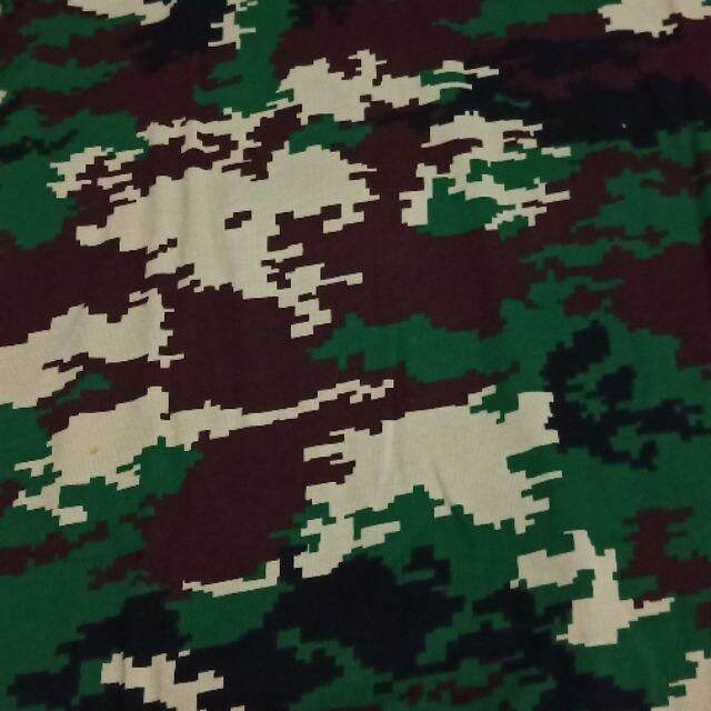 Detail Background Loreng Nkri Nomer 17